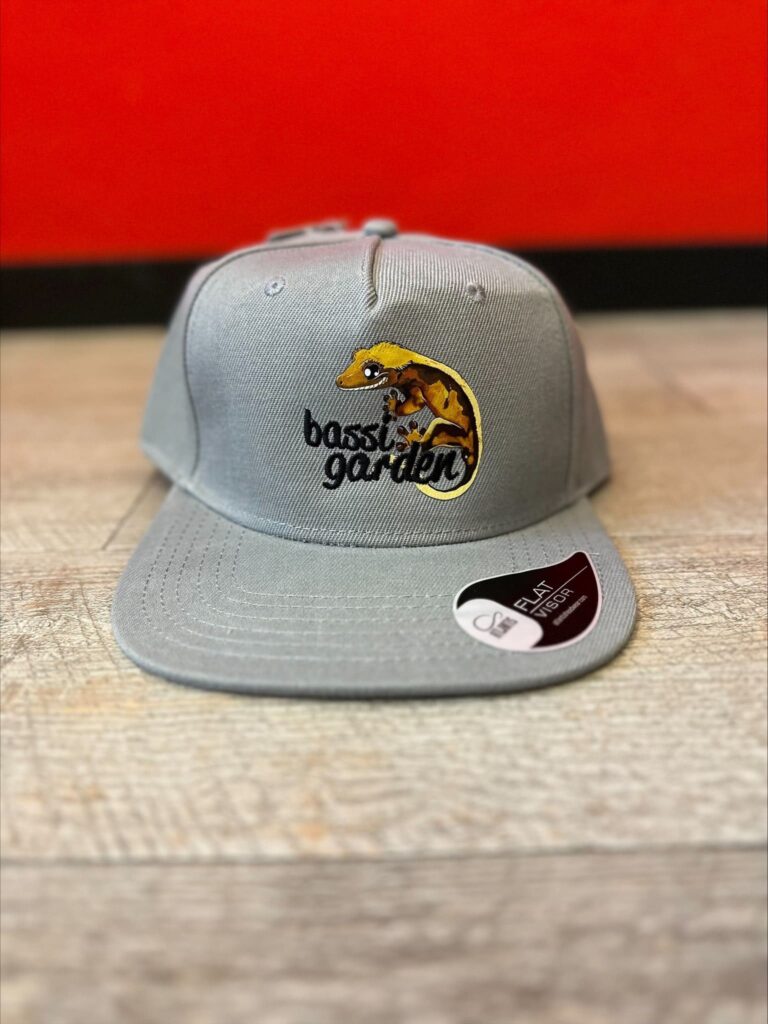 Cappellino stampato da noi