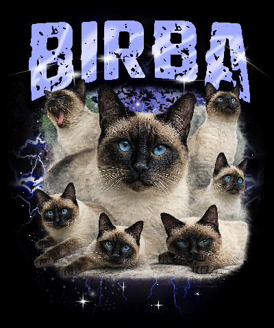 Birba
