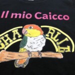 maglietta-personalizzata-express-da-donna-con-scritta